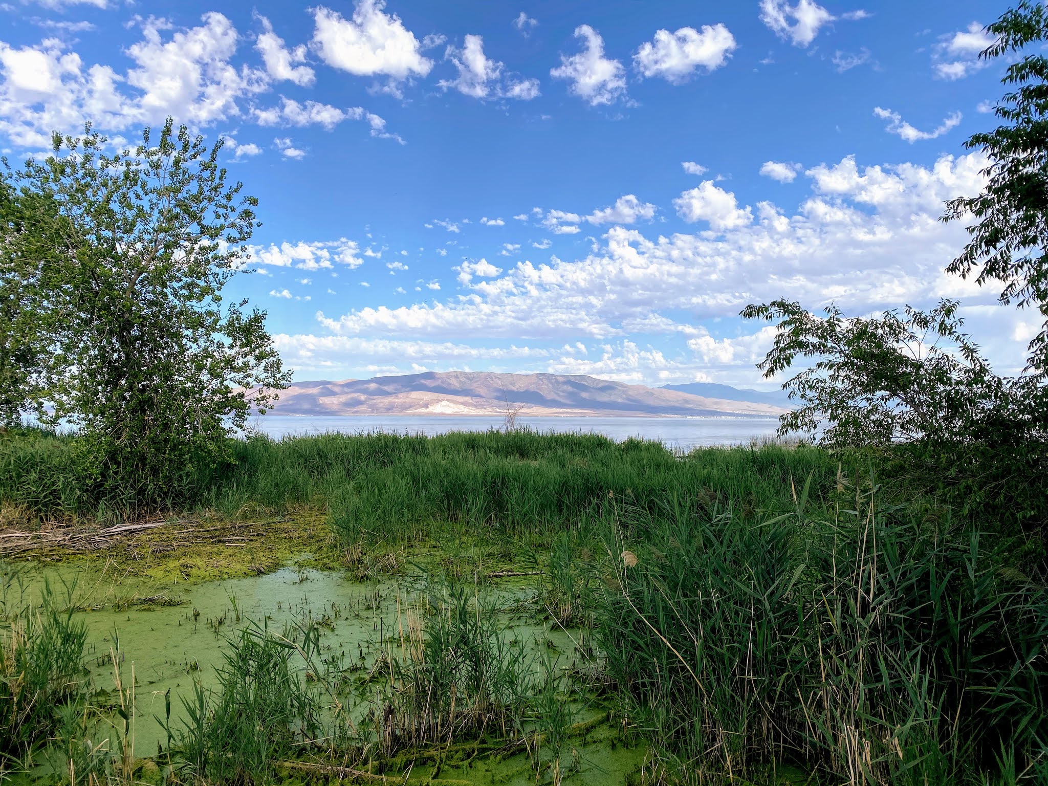 Walking Arizona The Shoreline of Utah Lake from the Utah Lake