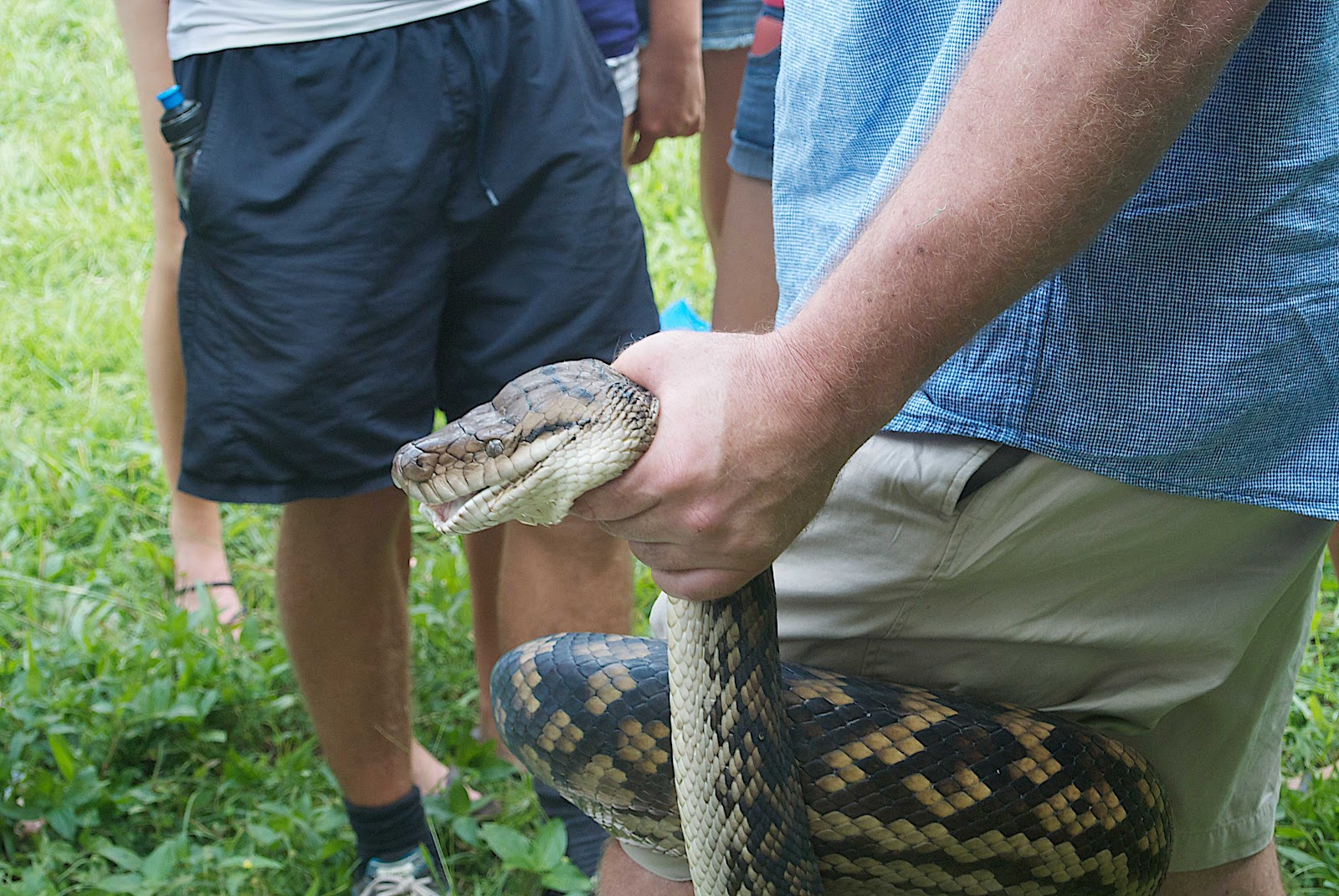 BunyipCo: May 2012 BunyipCo: May 2012