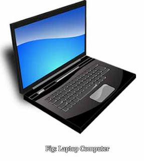 Laptop/Notebook Computer
