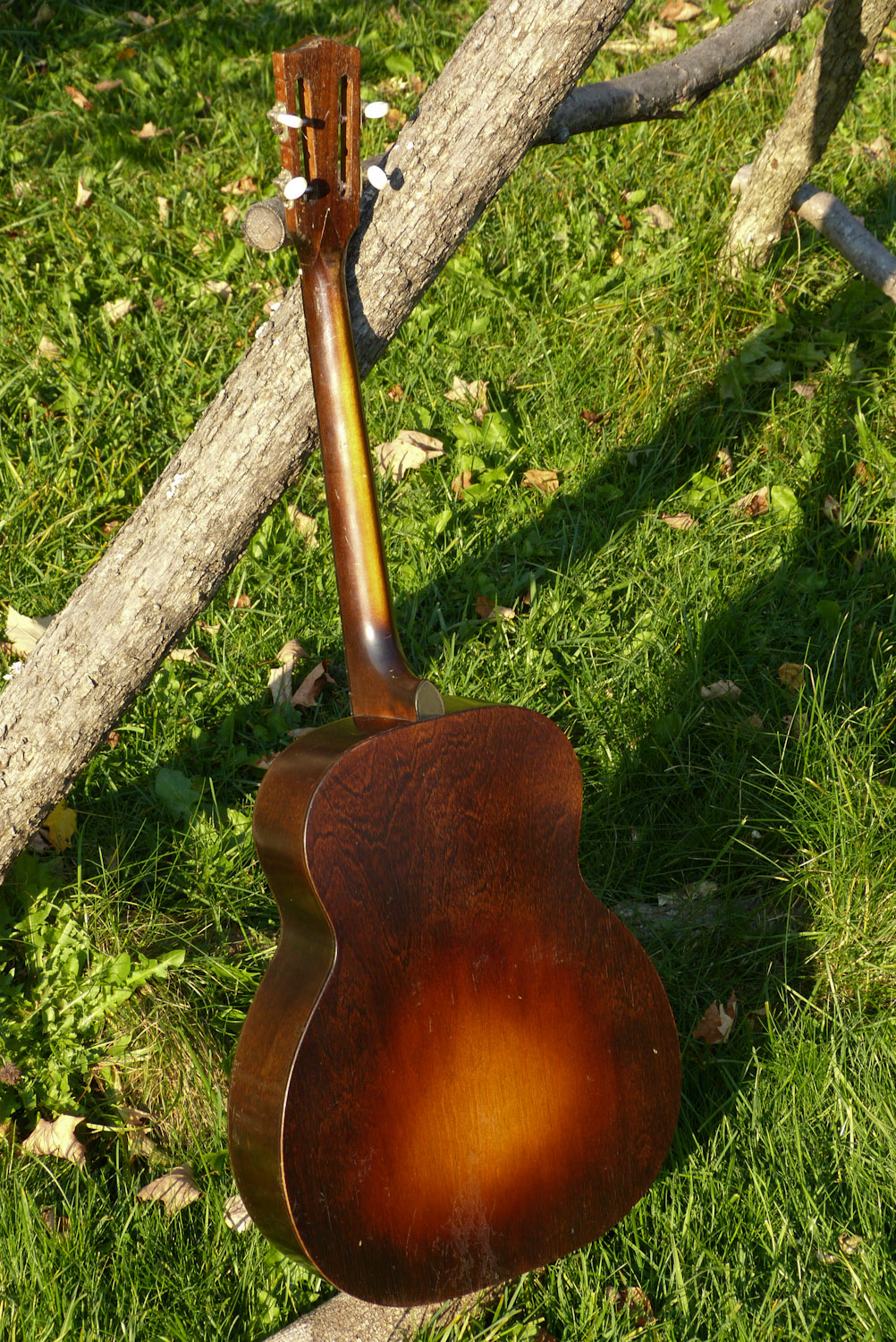 1930s Dobro Resonator Tenor Guitar