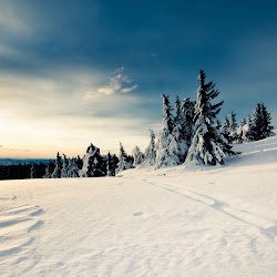 ipad winter wallpapers