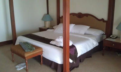 primula suite