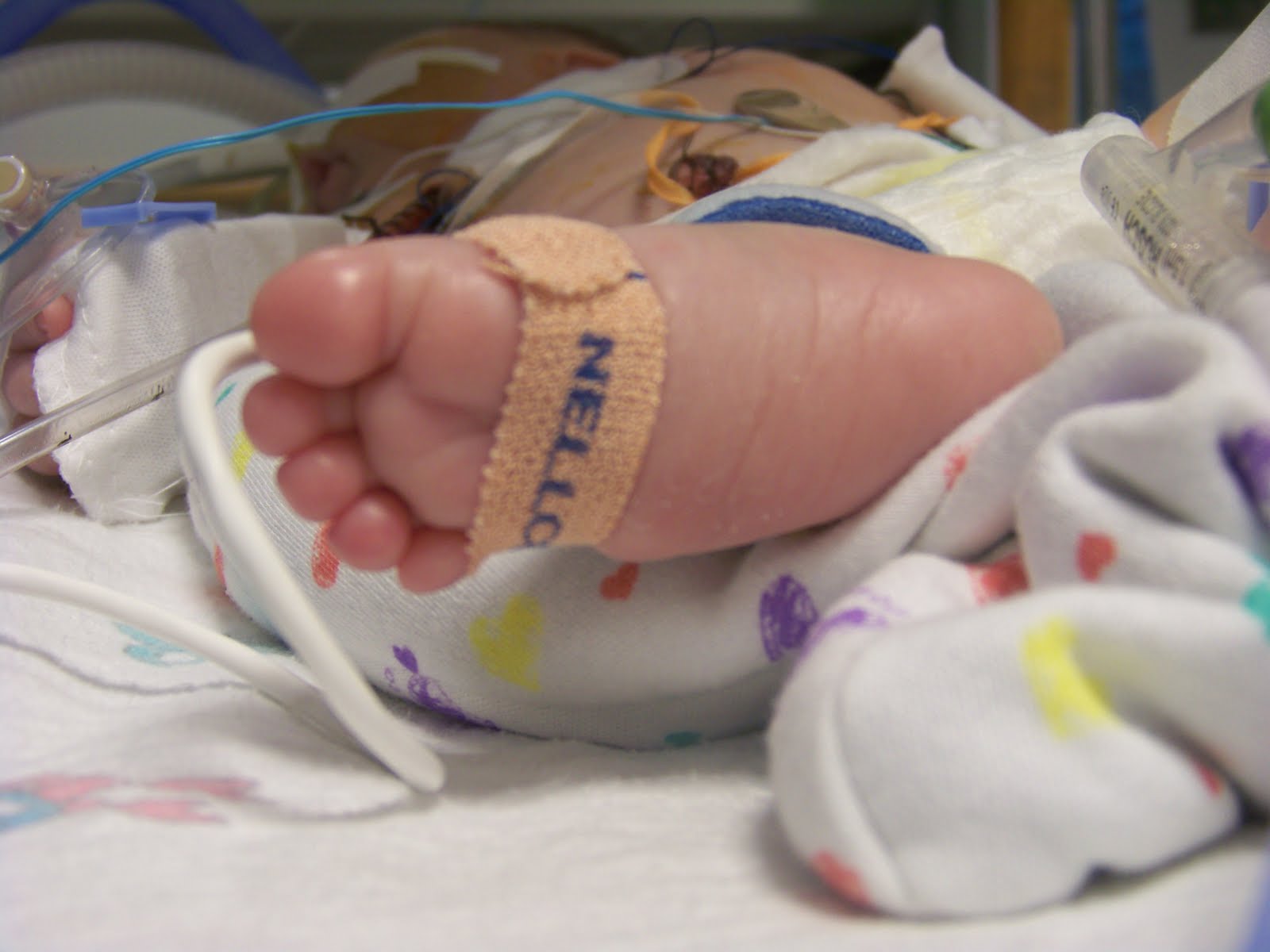 Jacob s Journey So Much Awareness So Little Time 