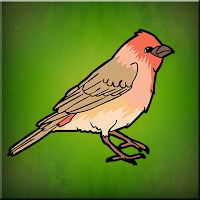 Play Games2Jolly House Finch Escape