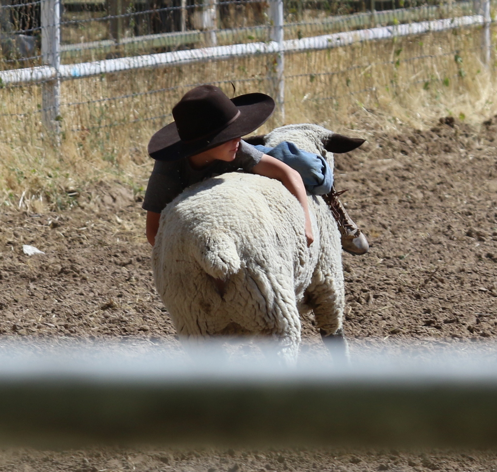 Desert Survivor Labor Day Kids Rodeo at Leamardo Days, Leamington, Utah