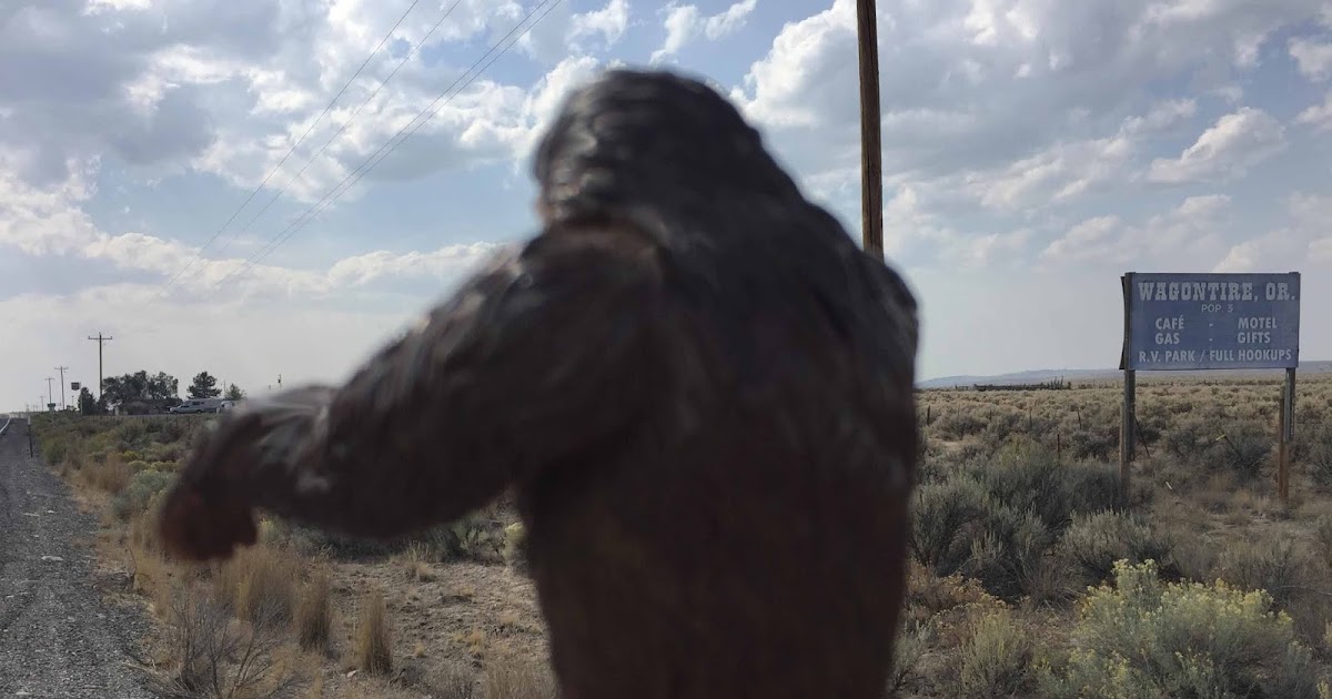 newest sasquatch sightings video photo newest sasquatch sightings video photo