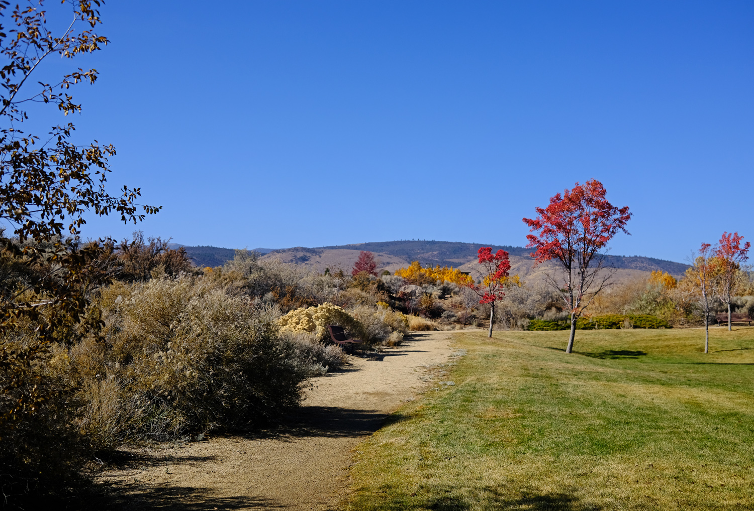 Loving Reno Arrowcreek Park A Small Great Park with Unique Play