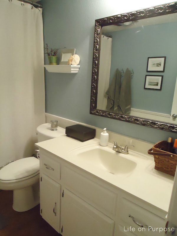 Life on Purpose Bathroom Redo