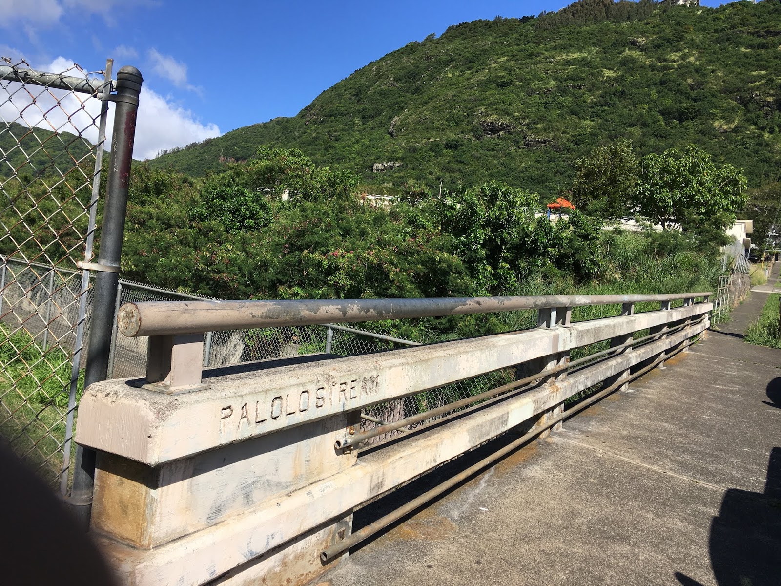 Video Pukele, Wai‘oma‘o, Palolo Streams