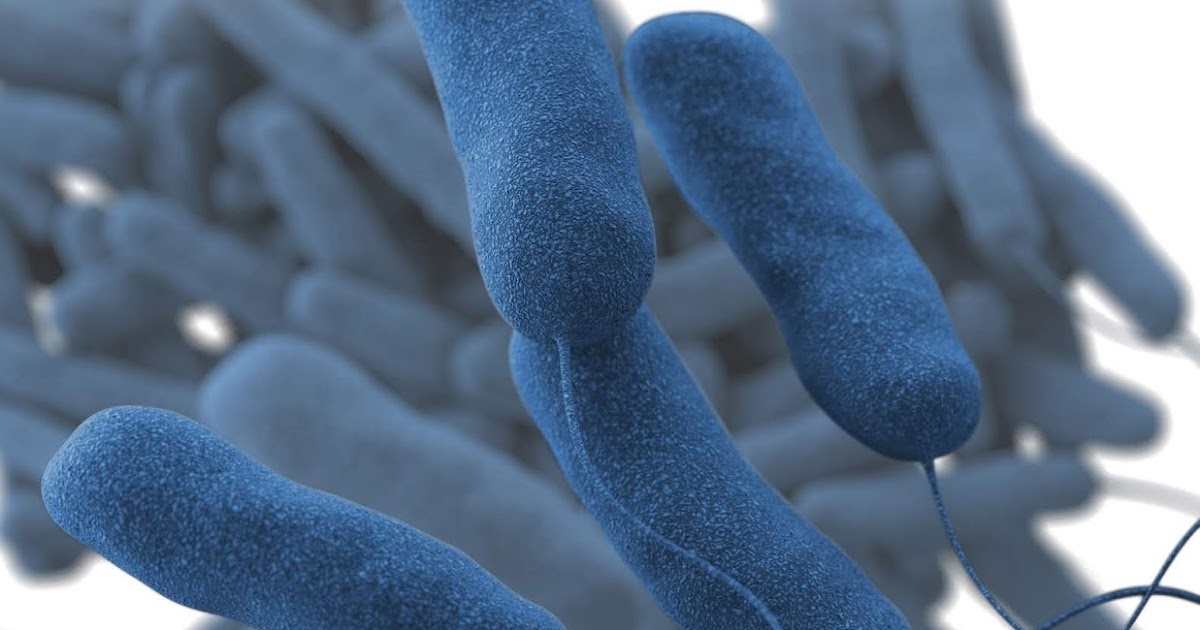 Paciente Zero Legionelosis