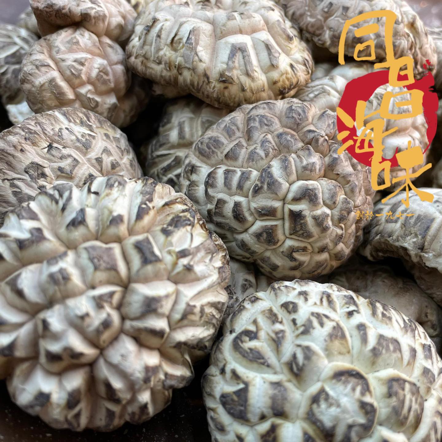 福建三明農家新鮮天然冬菇 野生香菇 乾貨椴木菌種特產500g包郵