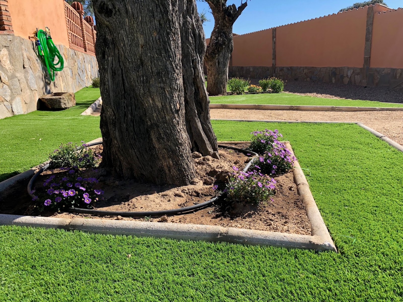 JARDINES EXTREPLANT. MORALEJA.