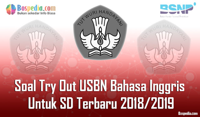 40+ Soal Try Out USBN Bahasa Inggris Untuk SD Terbaru 2018/2019