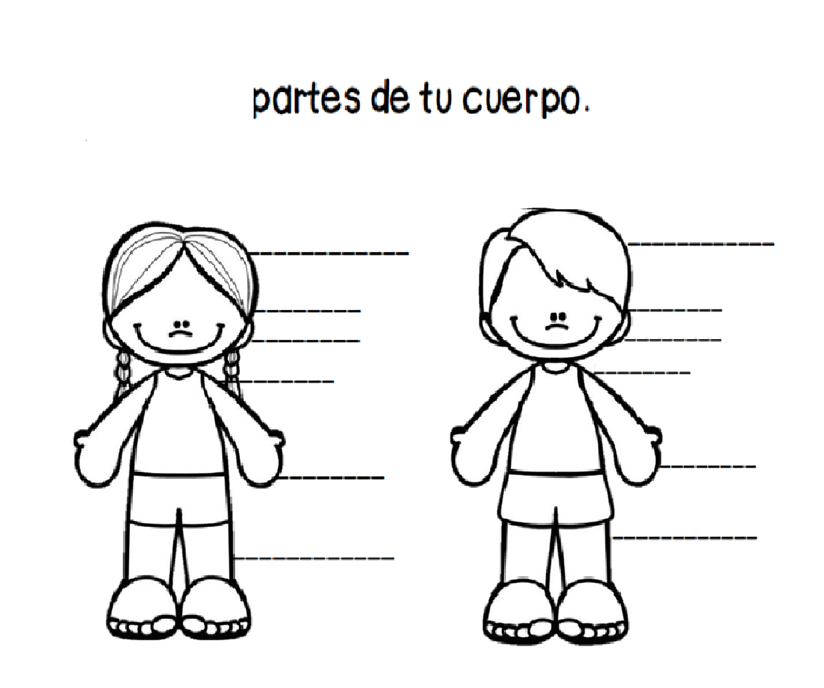 PARTES DEL CUERPO partes-del-cuerpo