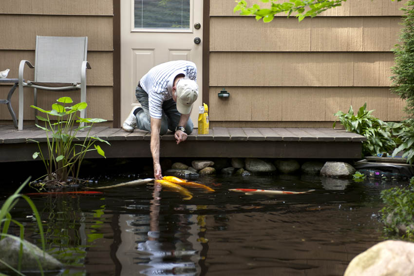 Aquascape Your Landscape: Every Deck Needs a Pond
