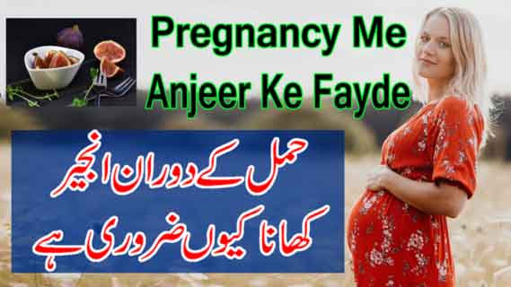 Pregnancy Me Anjeer Khane Ke Fayde