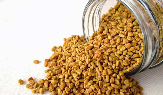 الحلبة الحلبة