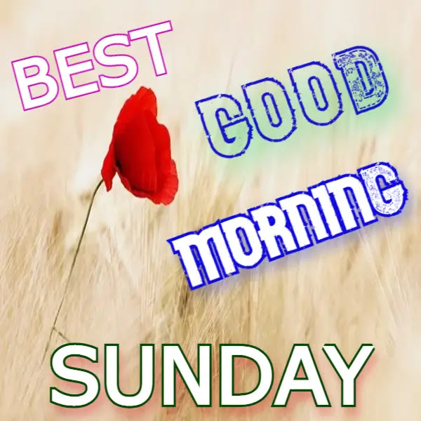 Happy Good Morning Sunday Images HD ! Free Download Happy Good Morning Sunday Images HD ! Free Download