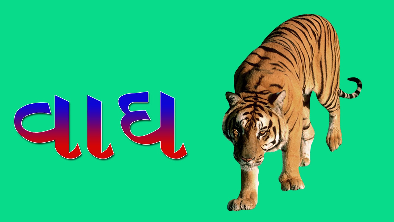 wild animals name in gujarati गुजराती