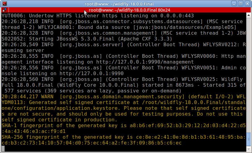 Simple TLS certificates in WildFly 18