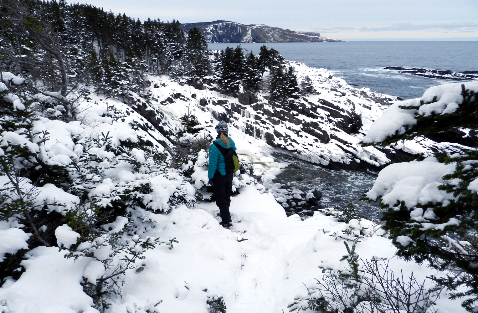 Elfshot Snowshoeing the East Coast Trail