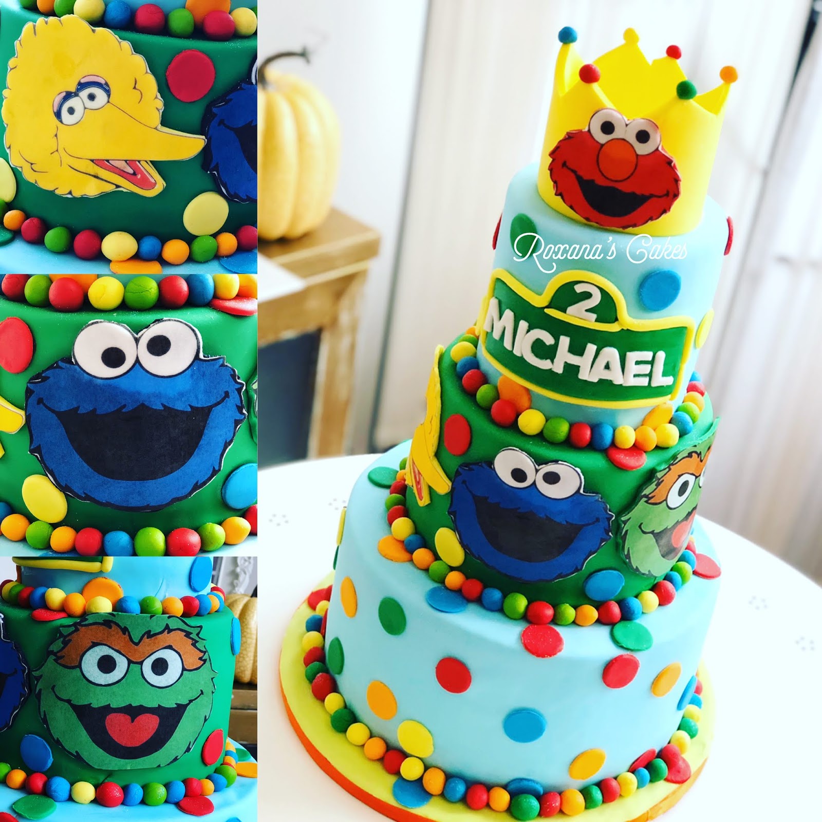 Baking with Roxana's Cakes Sesame Street Birthday Cake