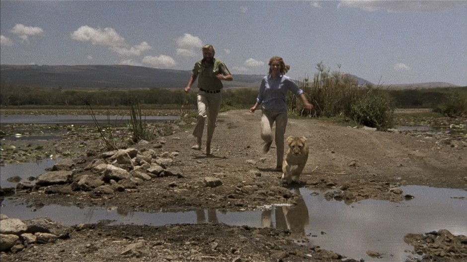 VIVENDO LIVREMENTE (DUAL ÁUDIO/720P) – 1972 FormatFactoryVivendo%2BLivremente%2B1972%2B720p.mkv_snapshot_00.06.50.494