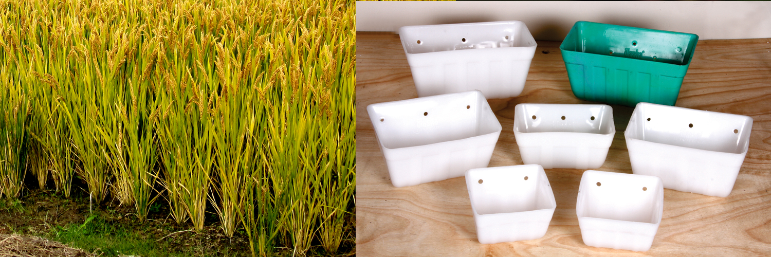 Learn about advantages of the elevator buckets