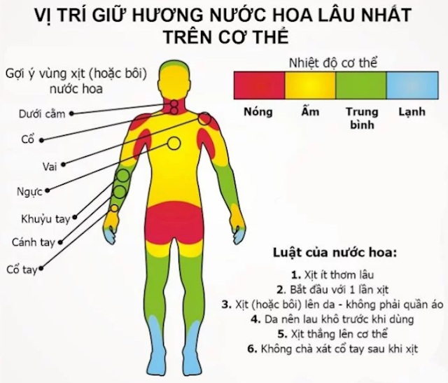 Đông Y Gia Truyền Tấn Khang mách bạn 8 vị trí lưu giữ nước hoa lâu nhất trên cơ thể.
