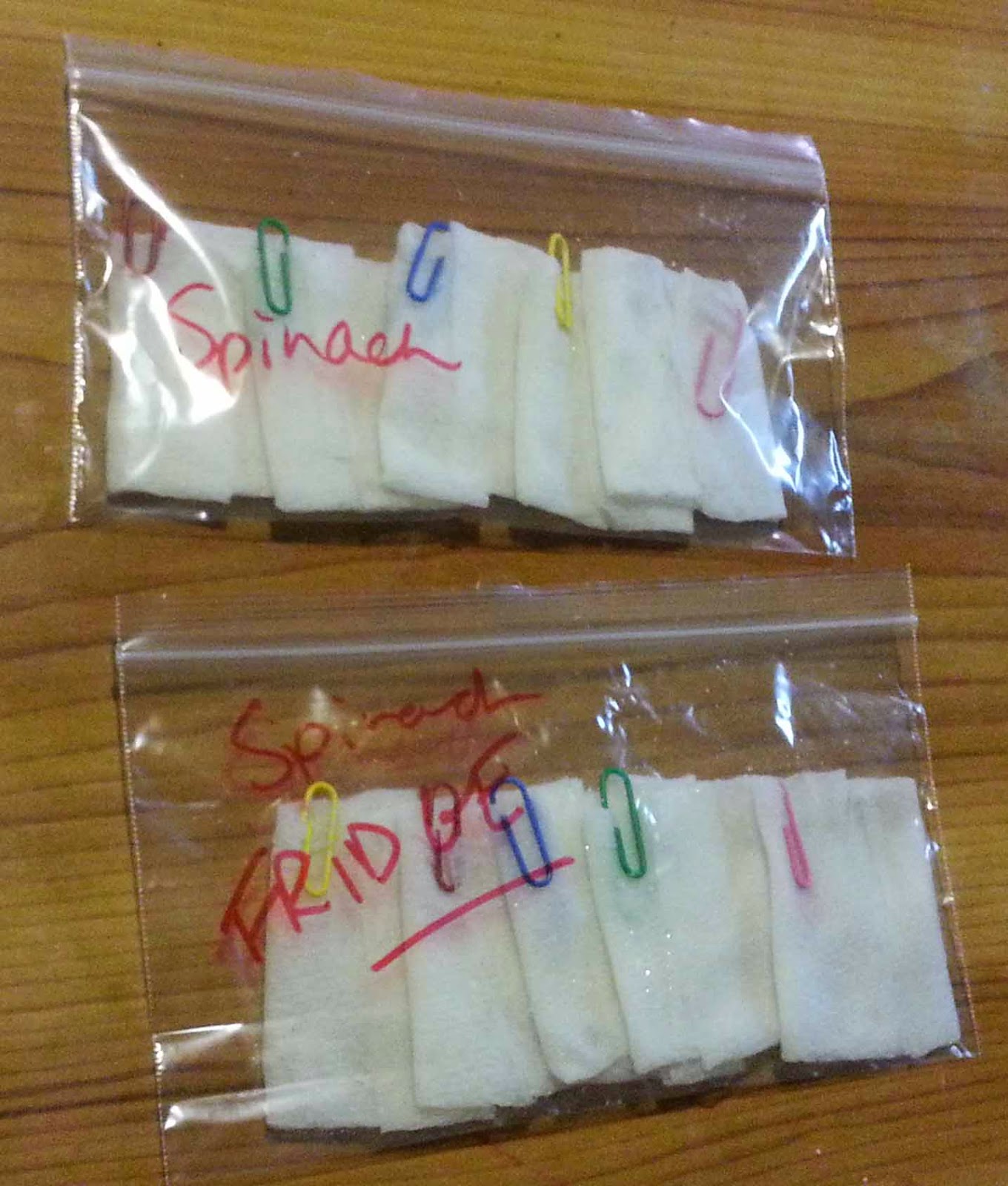 The Gardening Me Experimenting with Spinach