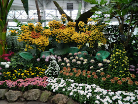 Central chrysanthemum display at 2016 Allan Gardens Conservatory  Fall Chrysanthemum Show by garden muses-not another Toronto gardening blog