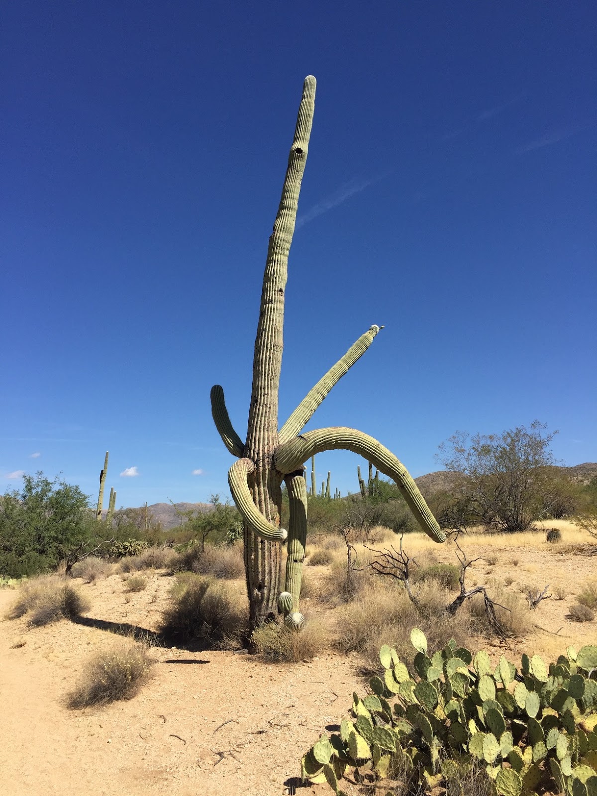 On The Road Again Part 2