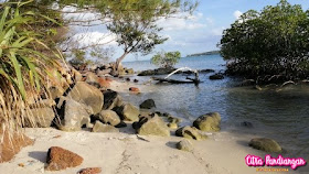 Hunting Photo Pantai Tanjung Setumu Hingga Citywalk Kijang Hunting Photo Pantai Tanjung Setumu Hingga Citywalk Kijang