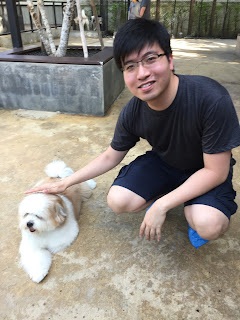 cute dog