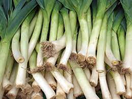 Leek Cultivation