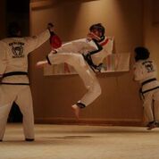 Martial arts black belt doing a jump kick A martial arts black belt doing a jump kick on a taekwondo target