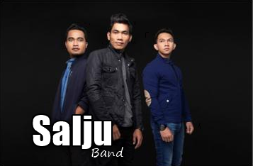 DOWNLOAD KUMPULAN LAGU SALJU BAND TERNEW MP3 LENGKAP - Download Lagu MP3