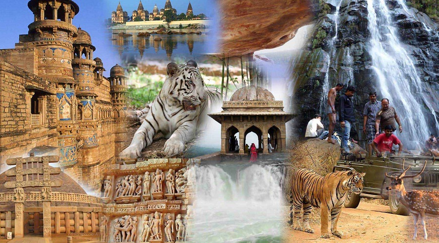 Travel Tips for Madhya Pradesh