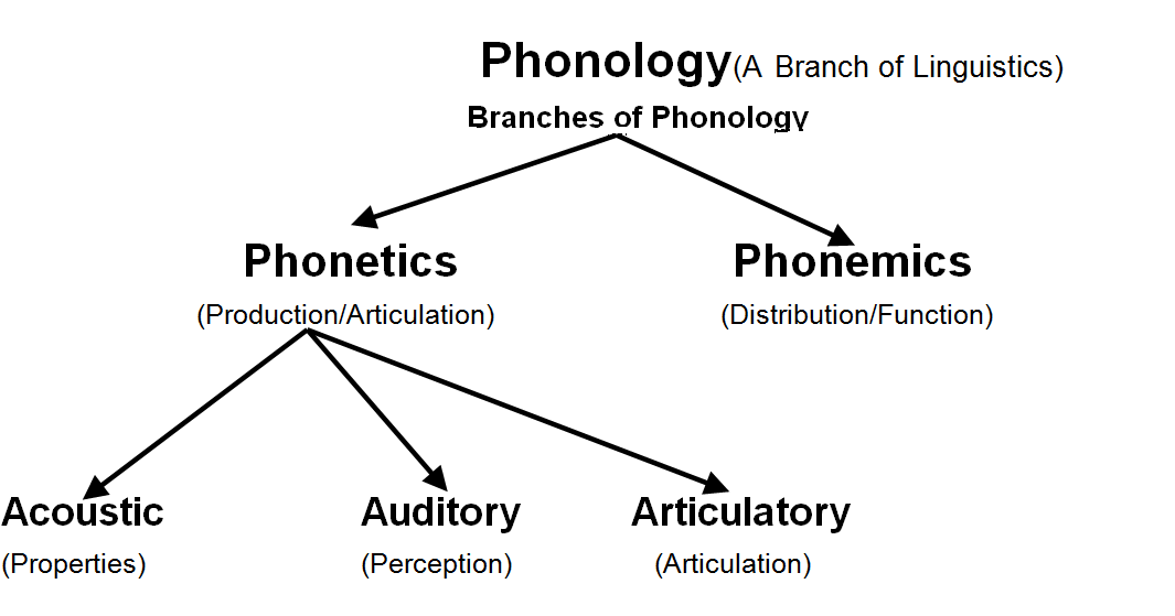 Phonology, Phonemics, phone, Phoneme, and Allophone