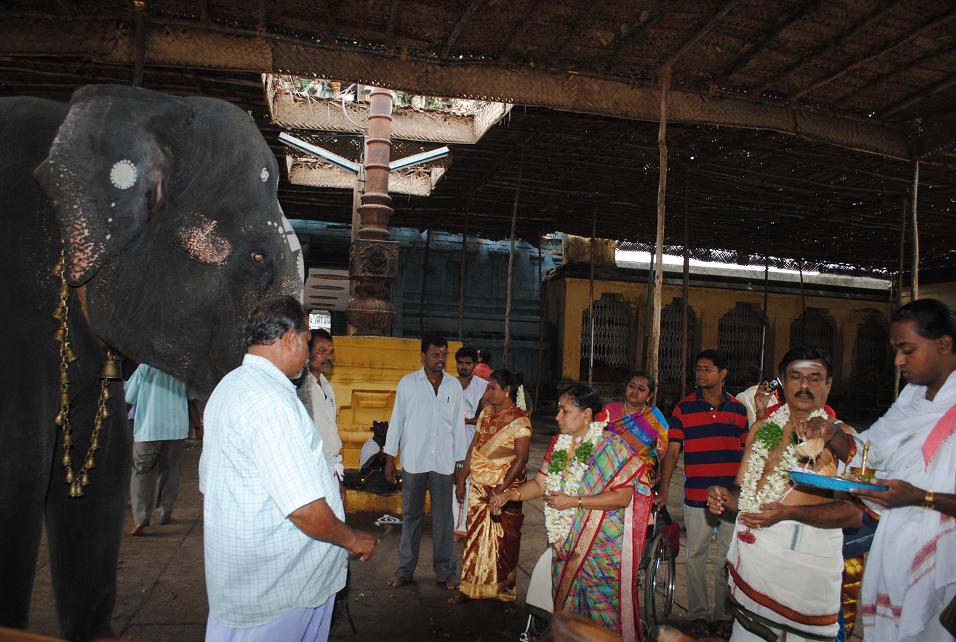 sashtiapthapoorthi-gaja-pooja-elephant-prayer