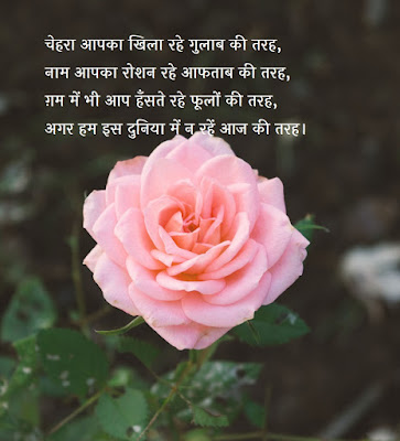 Rose Day Shayari 2020