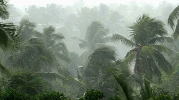 Thiruvananthapuram, News, Kerala, Rain, Alerts, Heavy rain in Kerala; Red alert in four district