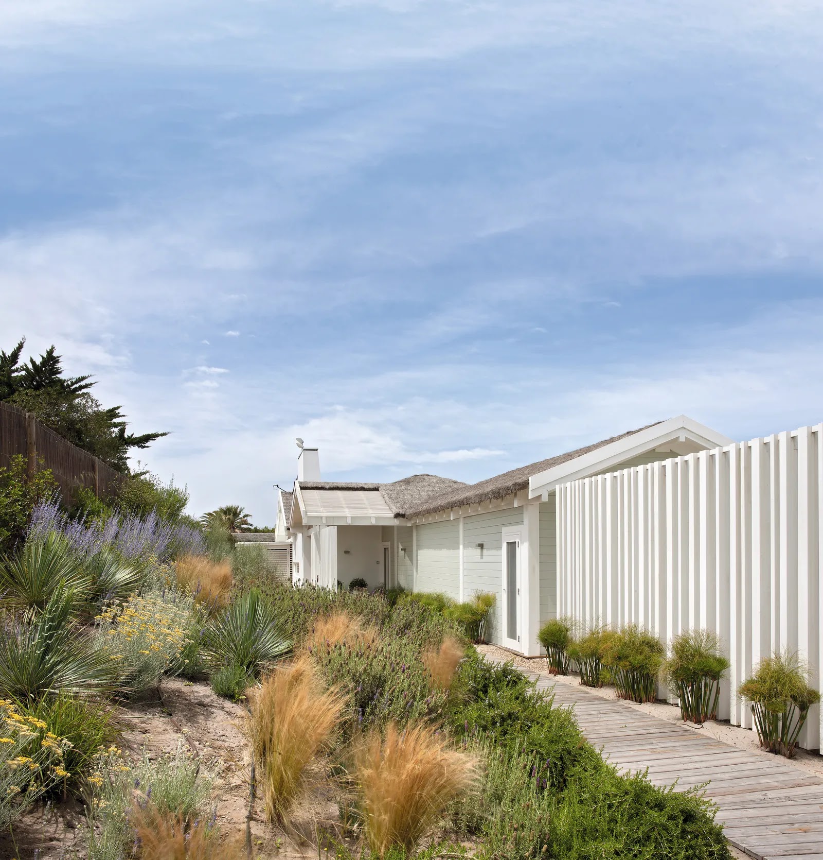 ������� ����� ����� ��������� 12.webp