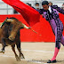 Astonishing Fact Revealed: In bullfighting, Bull charges at moving things instead of red colour!