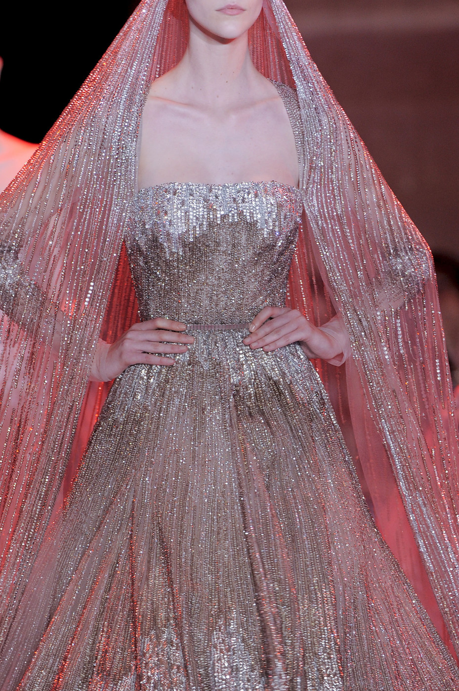 Elie%252BSaab%252BFall%252B2013%252BDeta