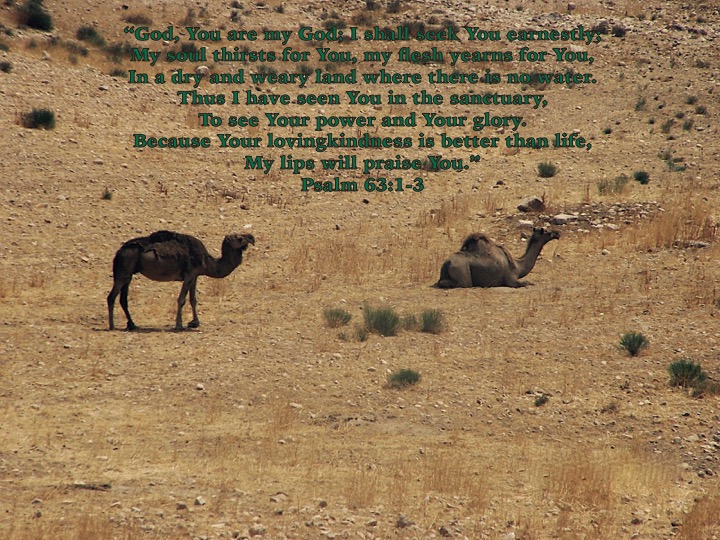 Prayer And Bible Expo Psalm 63 1 3 prayer-and-bible-expo-psalm-63-1-3