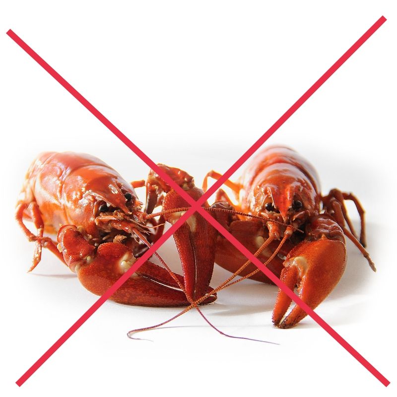 Shellfish Allergy? Read This!