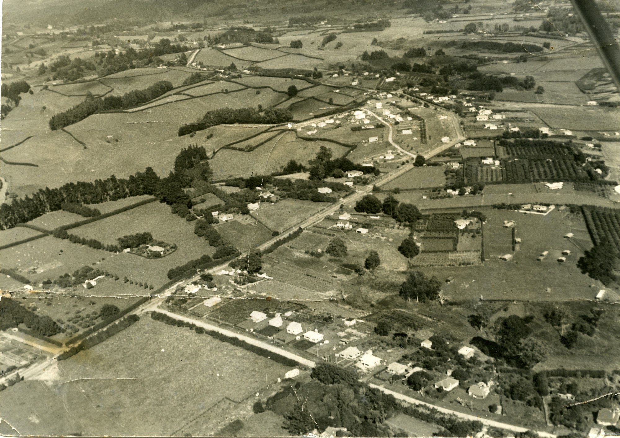 Tauranga Historical Society An 11 Yearold’s Perfect Day