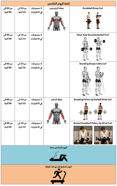 جدول تمارين كمال الاجسام