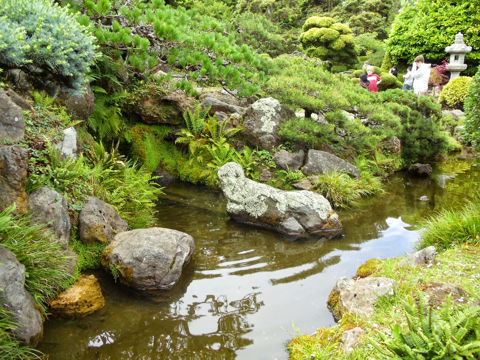 Japanese Tea Gardens ~ Asher Art